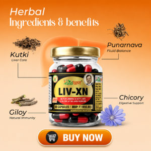 Ayurvedic Liver Treatment