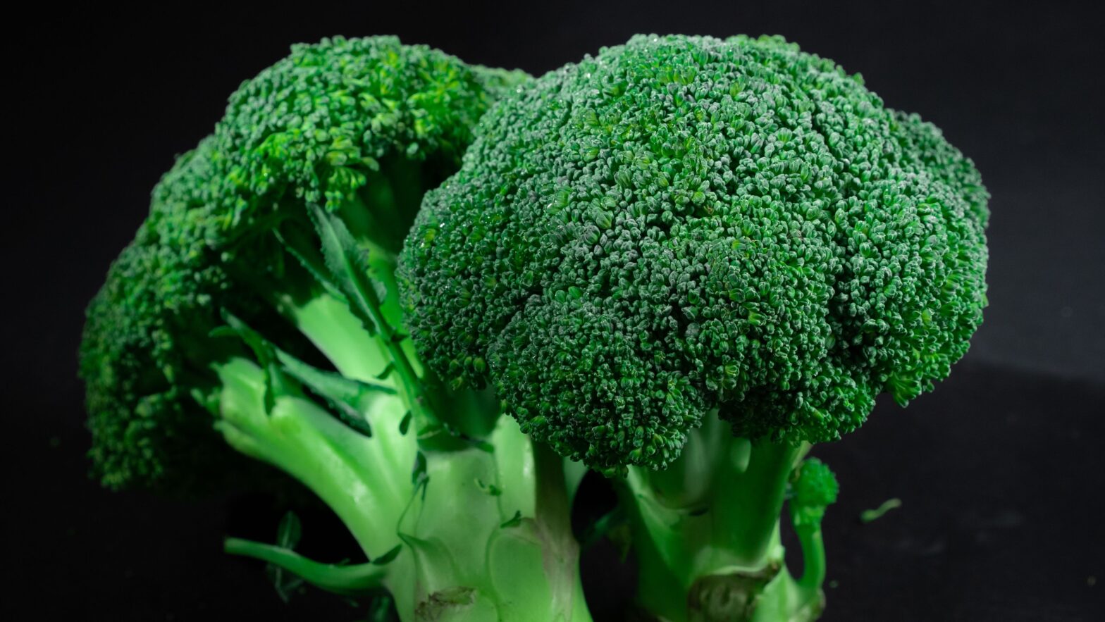 Broccoli Good for Men’s Sexual Wellness